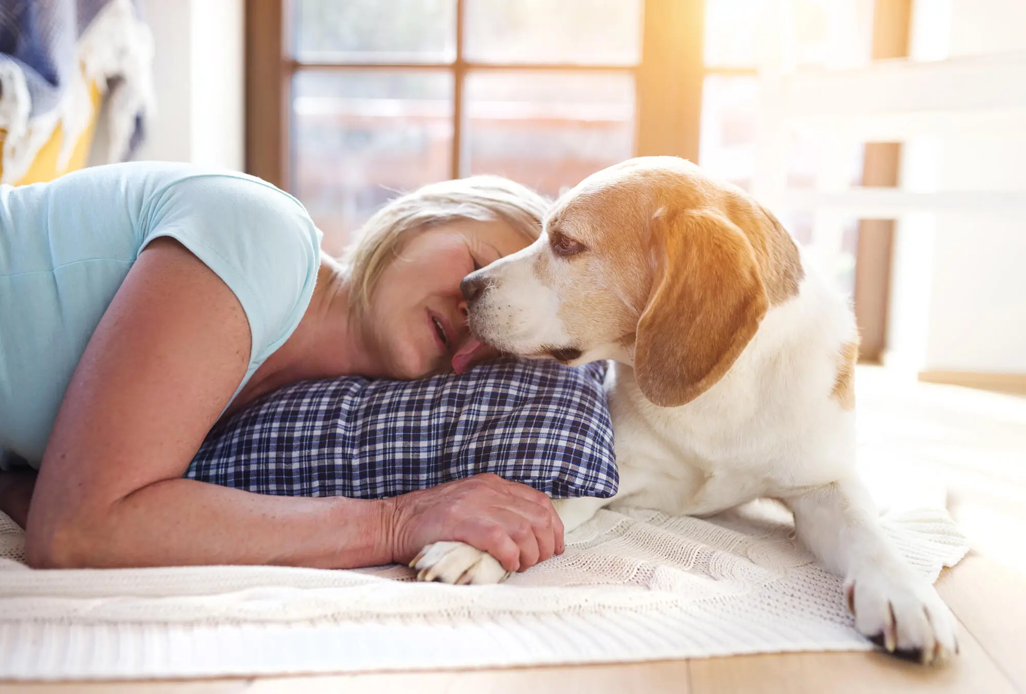 The Difference Between Service, Emotional Support Animals and Pets